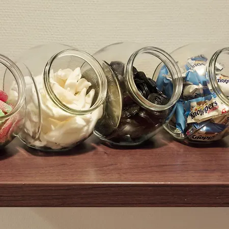 Courtyard By Marriott Hotel Drážďany