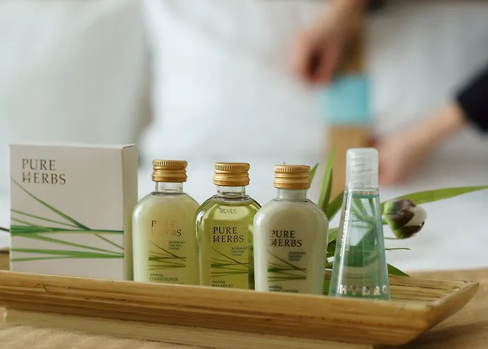 Hotel Courtyard By Marriott Dresde